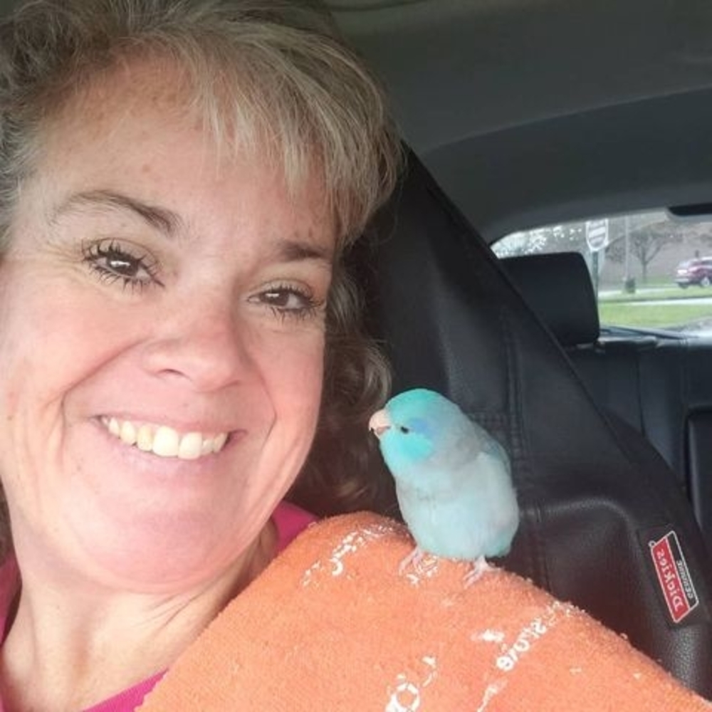 Meet your Posher, Debby